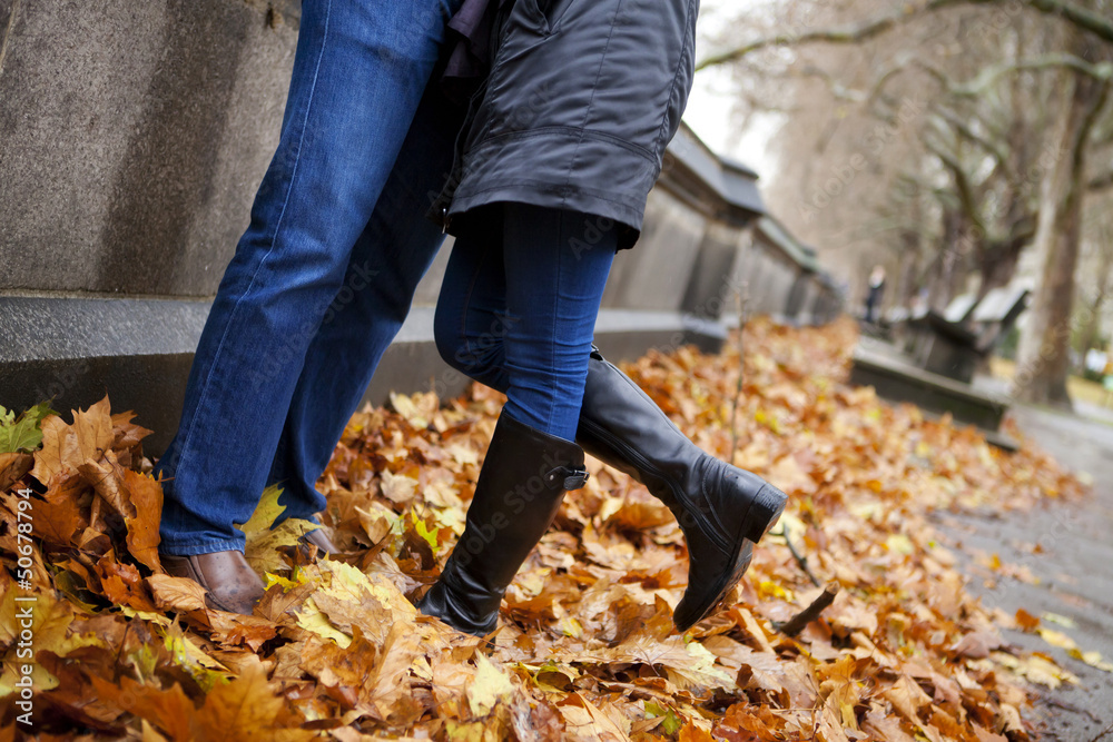 Legs and leaves on the ground