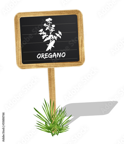 Oregano Schildchen Vektor