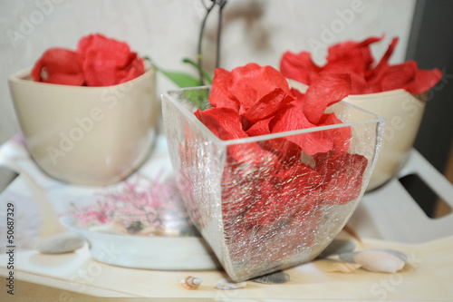 Rose Petals in Vases