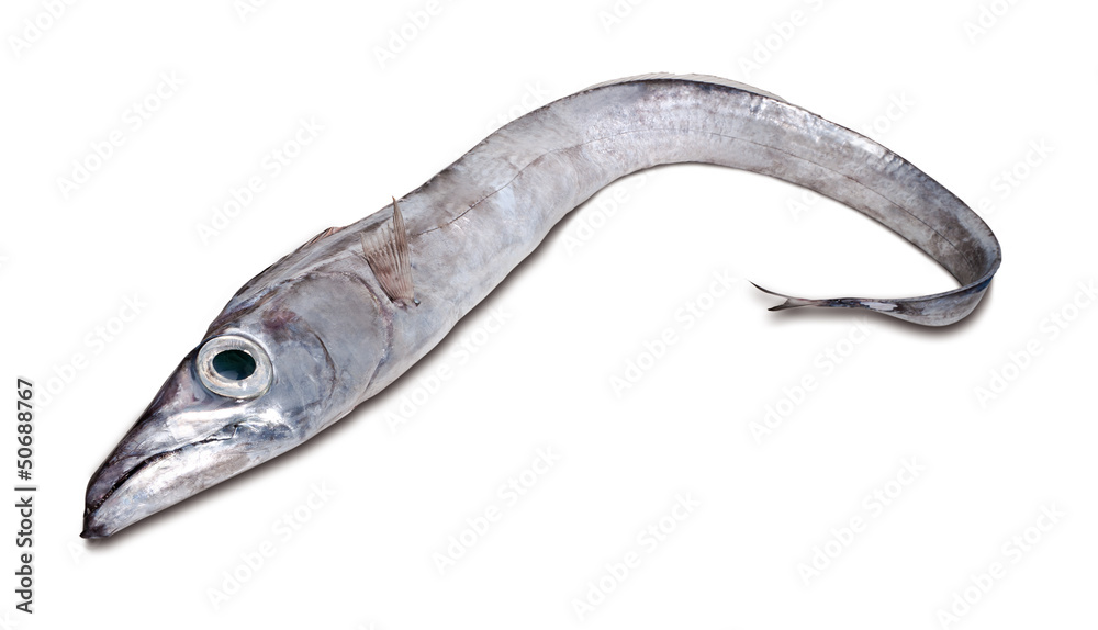 Spatola