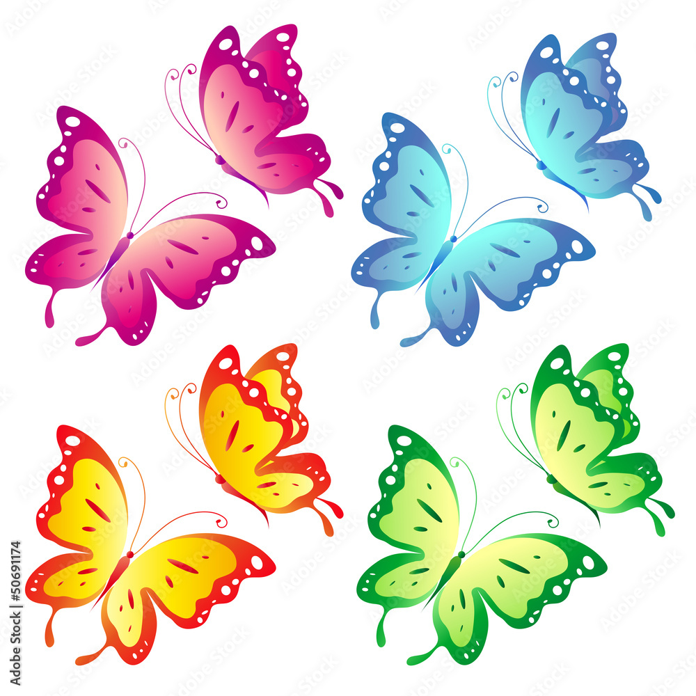 butterfly,butterflies vector