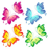 butterfly,butterflies
