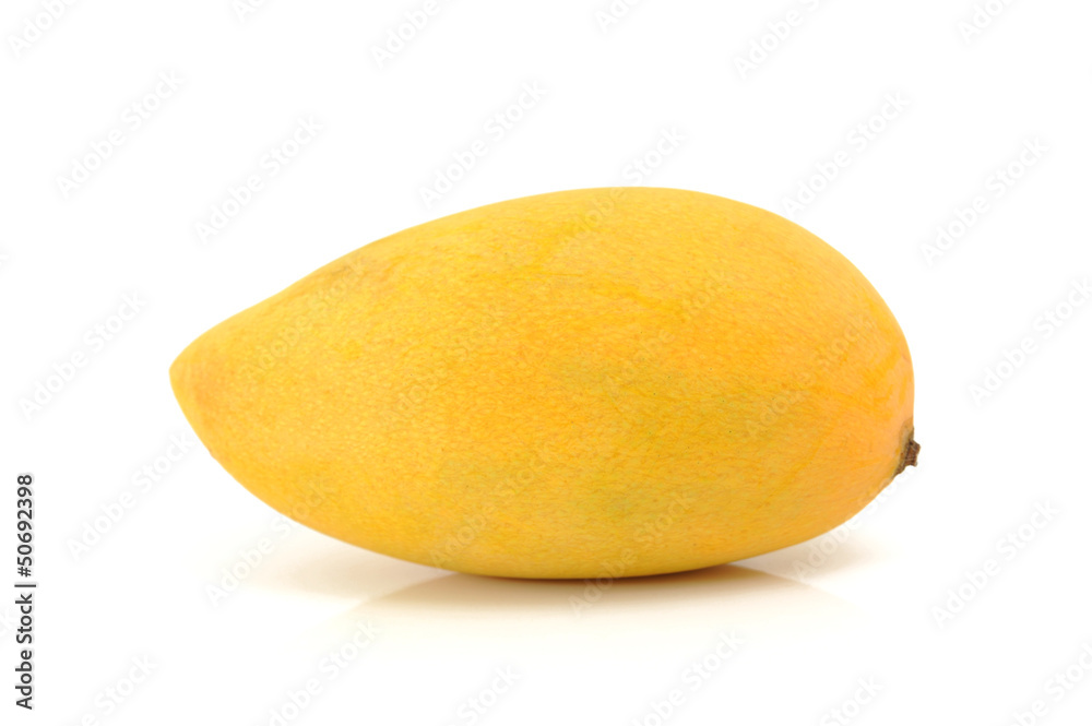 mango mango