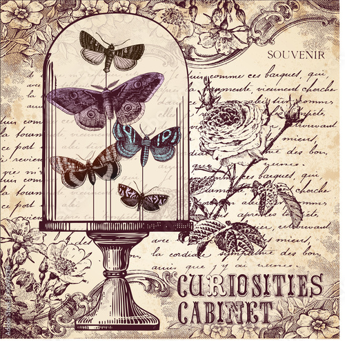The Curiosities Cabinet