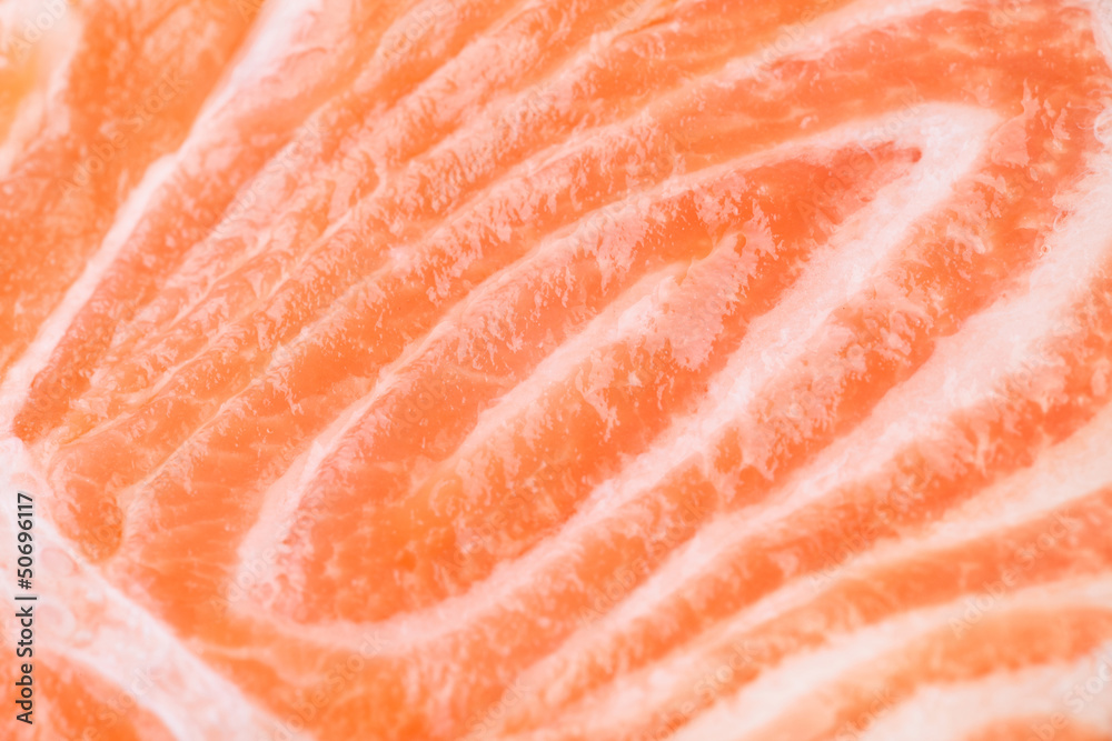 salmon meat salmon meat