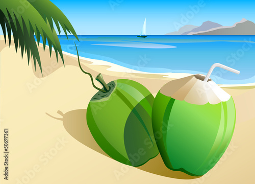 A pair of refreshing coconut and beach