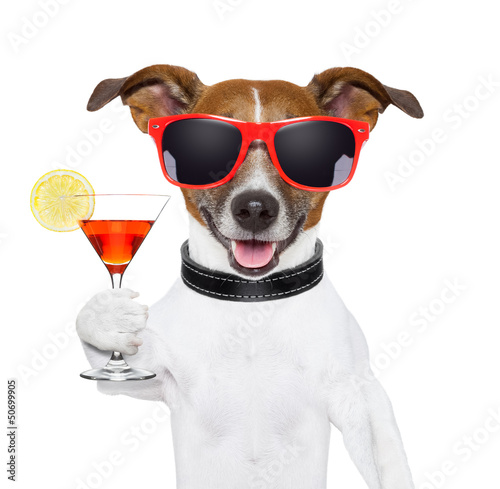 Tableau sur toile funny cocktail dog