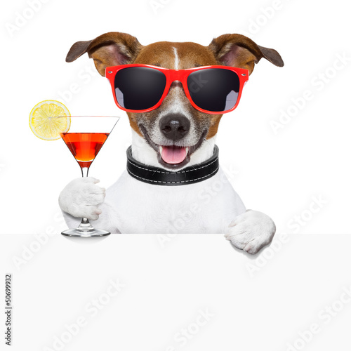 funny cocktail dog banner © Javier brosch