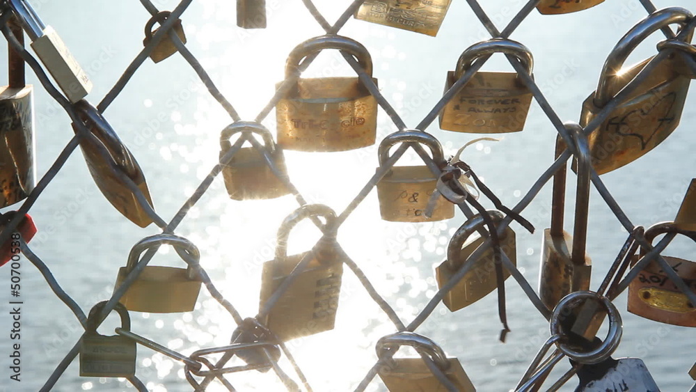 Pont des Arts Padlocks.