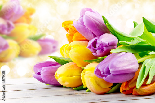 Fototapeta Naklejka Na Ścianę i Meble -  Tulpen