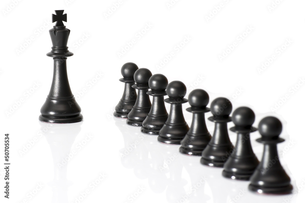 Chessmen Isolated on White Chessmen Isolated on White