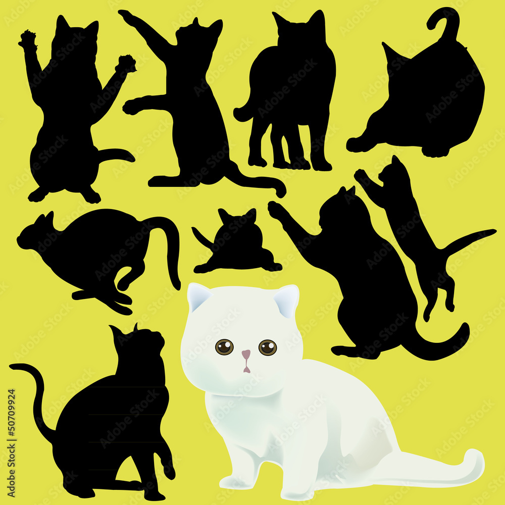 cat vector