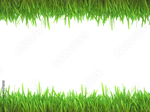 frame of lawn grass