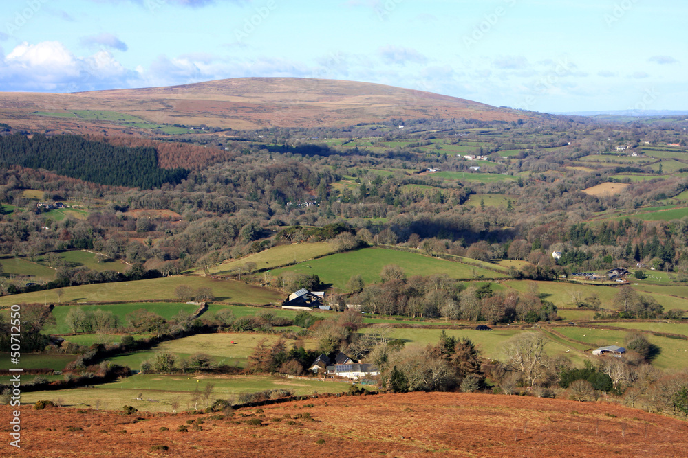 Naklejka premium Dartmoor from Meldon Hill