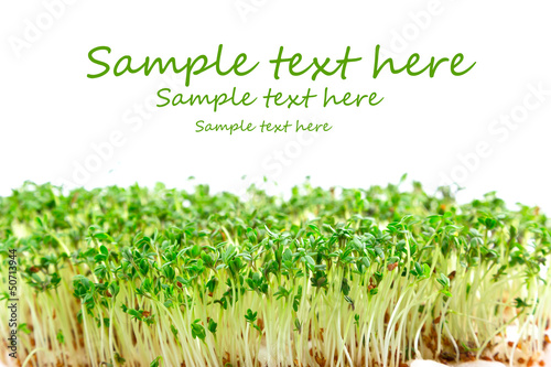 Easter garden cress with sample text