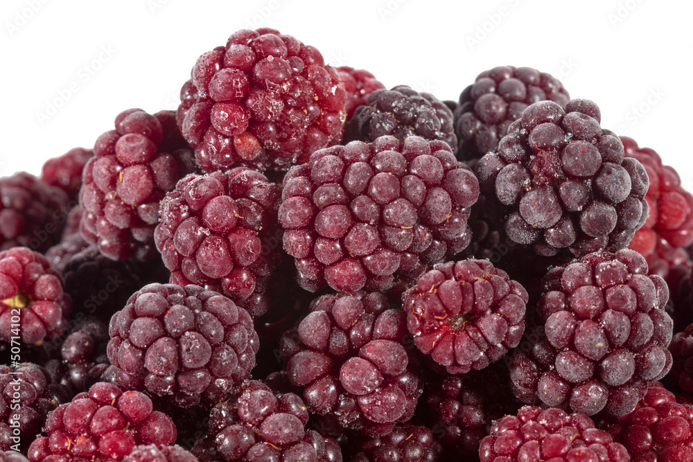 Brombeeren Brombeeren