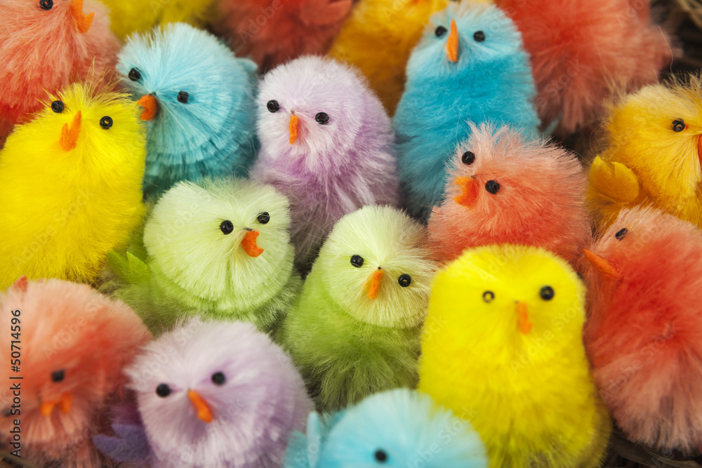 Colorful easter chickens