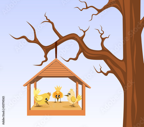 Bird house with birds are hung on branch