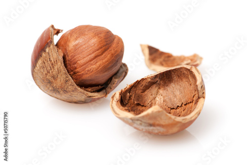 hazelnut photo