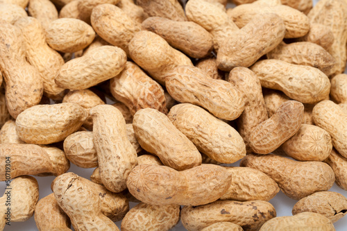 .Dried peanuts in closeup on the white background