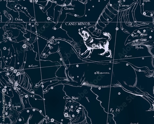 Constellation vintage map #50720177