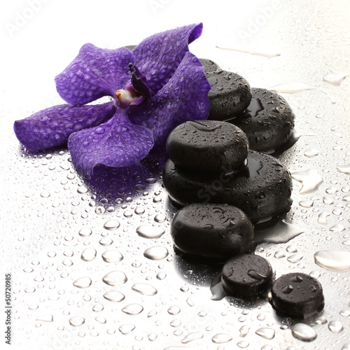 Fototapeta Naklejka Na Ścianę i Meble -  Spa stones and purple flower, on wet background