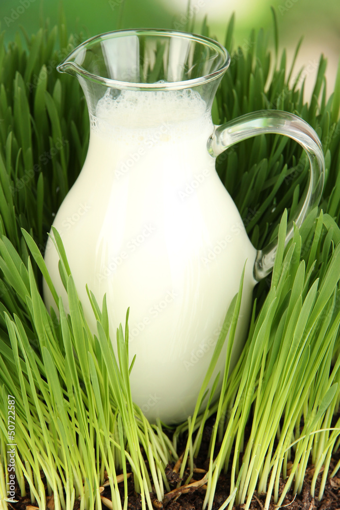 Glass pitcher of milk standing on grass close up Glass pitcher of milk standing on grass close up
