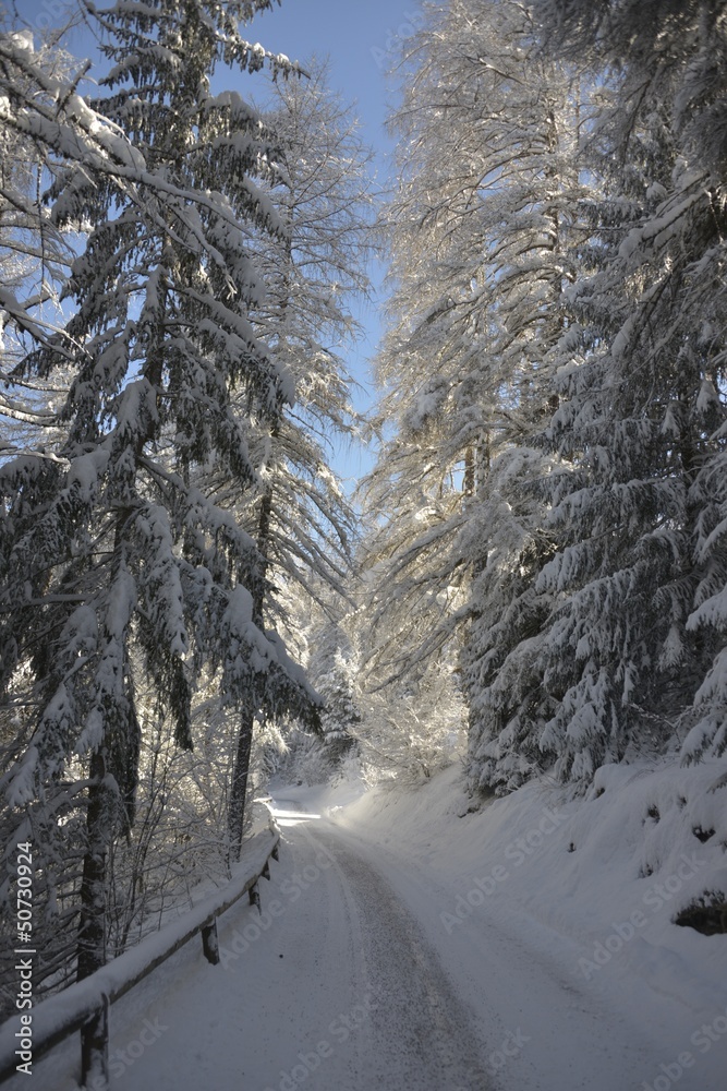 winter