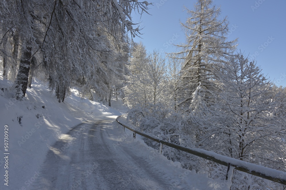 winter