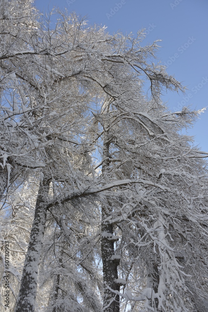 winter
