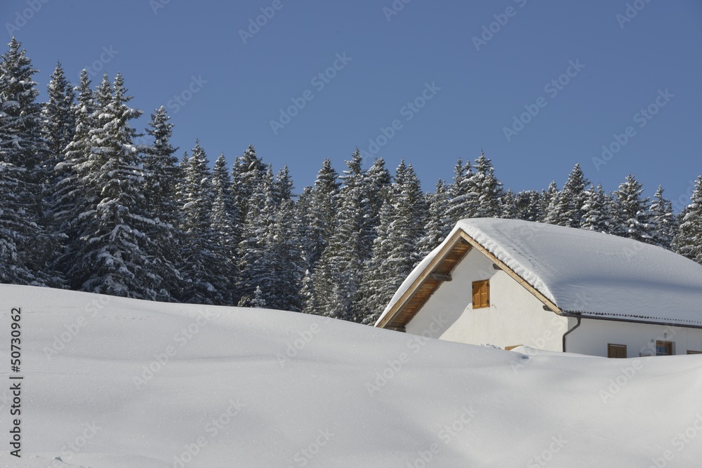 winter