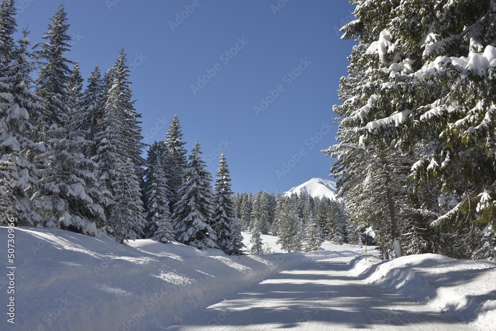 winter