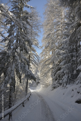 winter