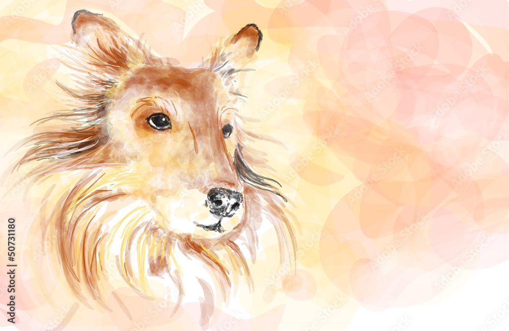 Collie dog aquarelle painting imitation Collie dog aquarelle painting imitation