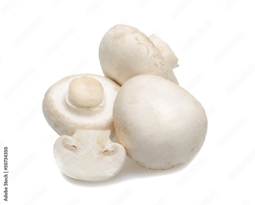 isolated mushrooms isolated mushrooms