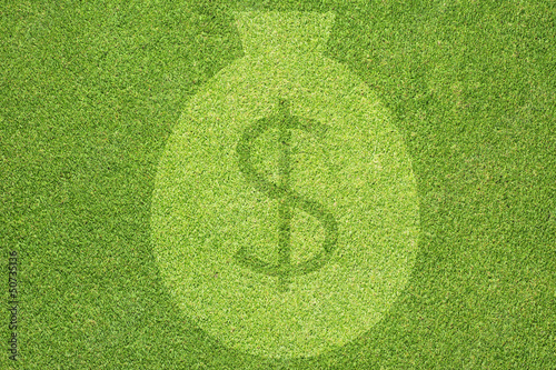 Money icon on green grass texture and background