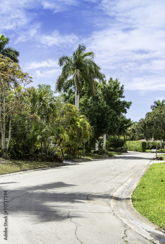 Palm trees by a lush green lawn in Naples, Florida