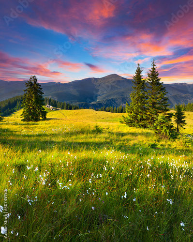 Dekoracja na wymiar  beautiful-summer-landscape-in-the-mountains-with-a-feather-grass