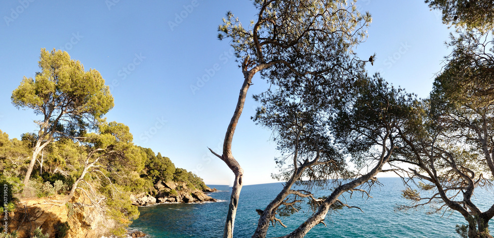 côte varoise