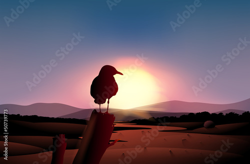 A sunset in the desert with a bird at a branch of a tree