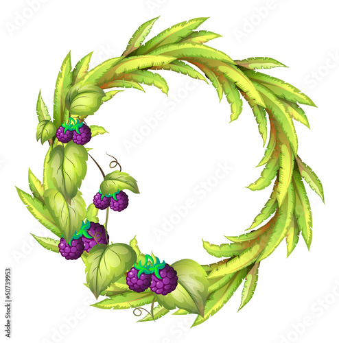 A round frame with violet berries