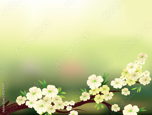 A stationery with fresh white flowers