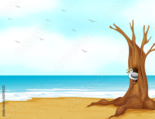 A bird inside the tree hollow at the seashore