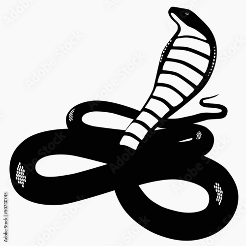 Cobra silhouette