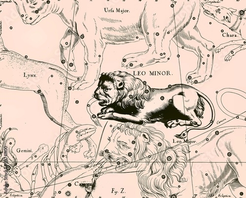 Constellation vintage map