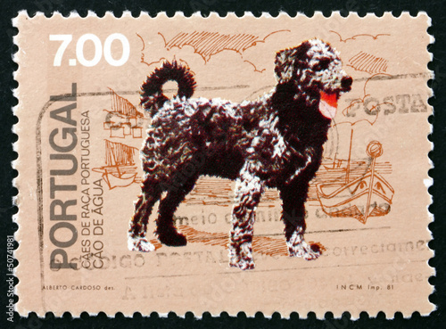 Postage stamp Portugal 1981 Cao de Agua, Breed of Dog from Portu photo
