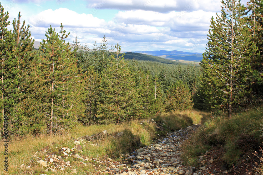 stream in the Scottish hills