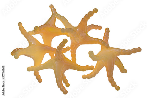 Histamin - isoliert - 3D Render