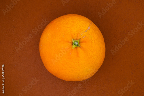 Orange photo