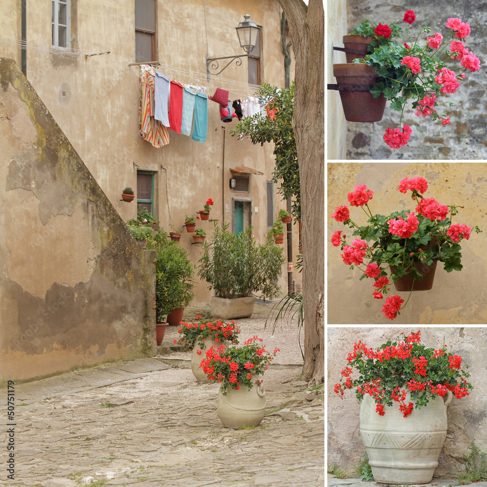 italian style backyard collage, Populonia,Tuscany